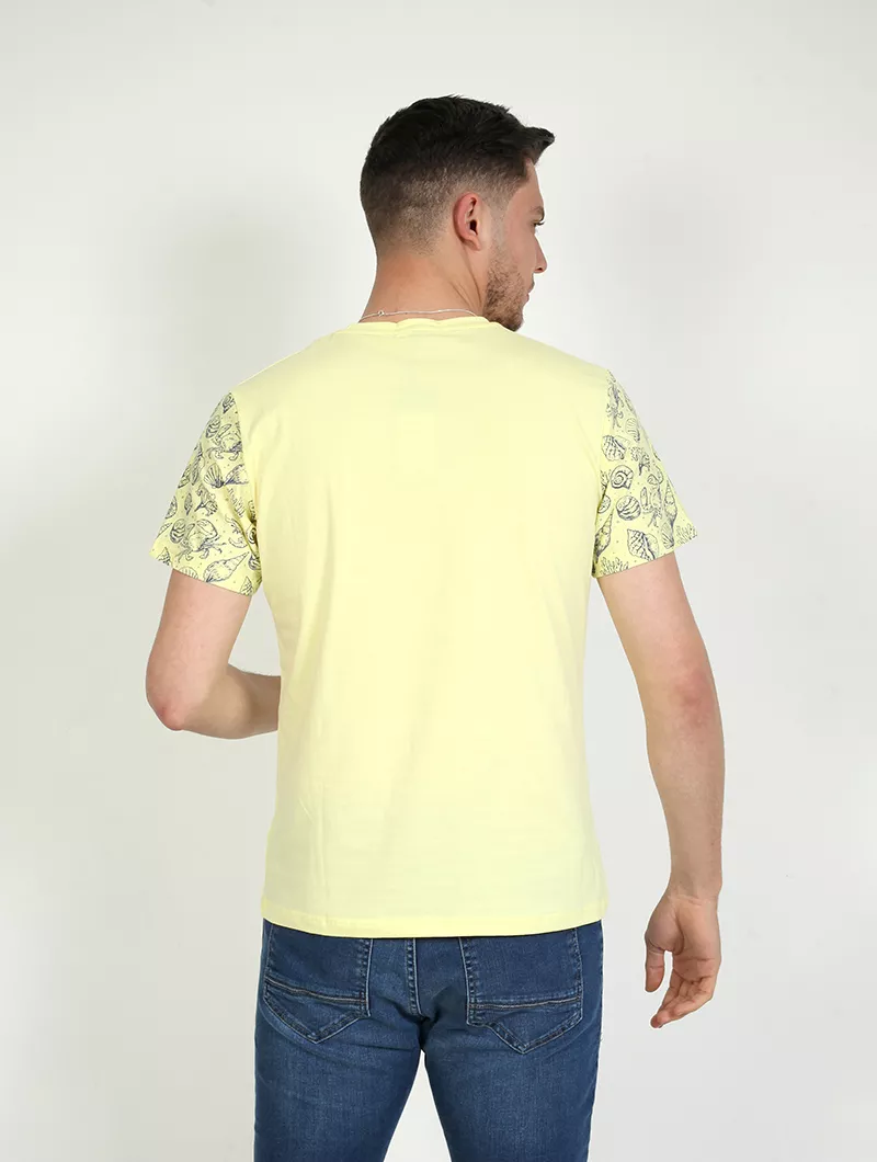 Tee shirt Imprimé